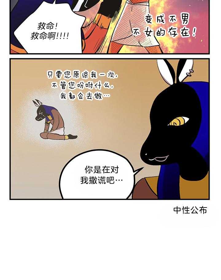 开罗第87话图