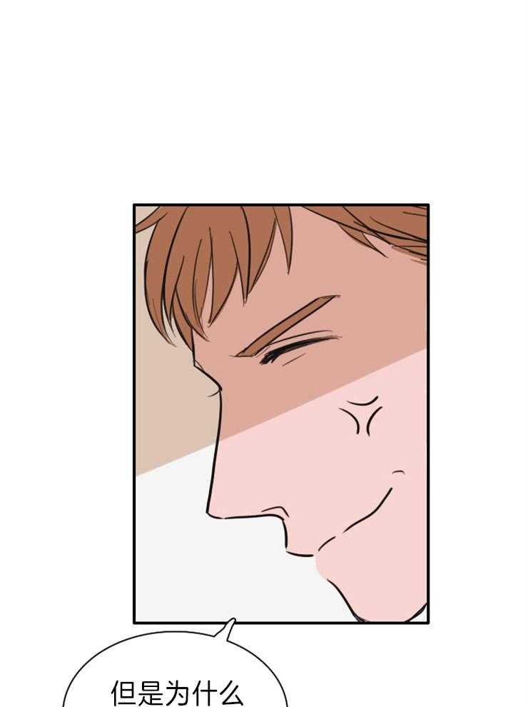 可疑的食谱第9话图