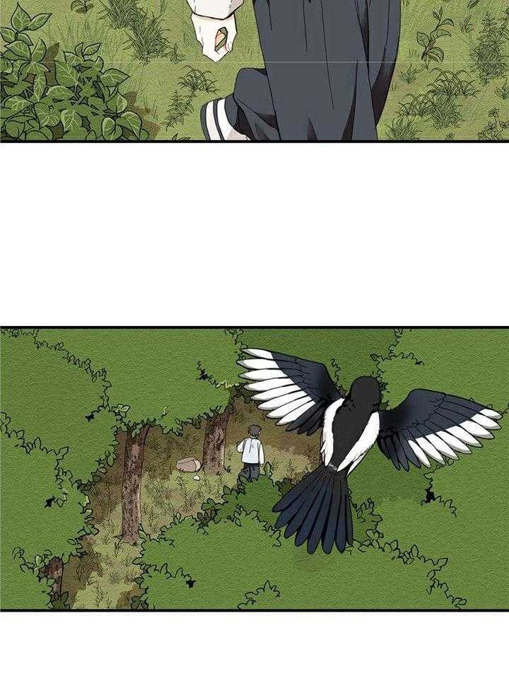 看见那条龙了吗，我的第1话图