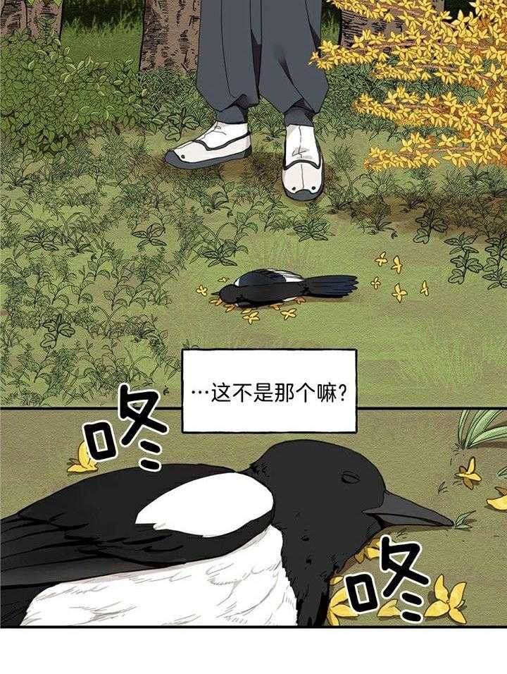 看见那条龙了吗，我的第1话图