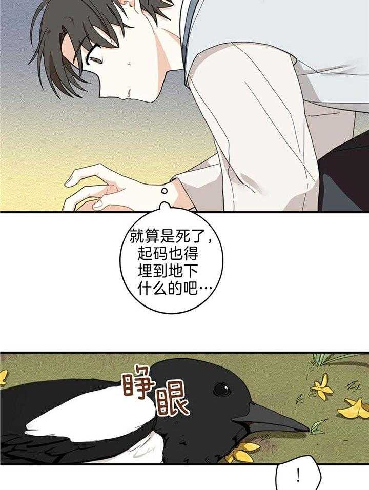 看见那条龙了吗，我的第1话图