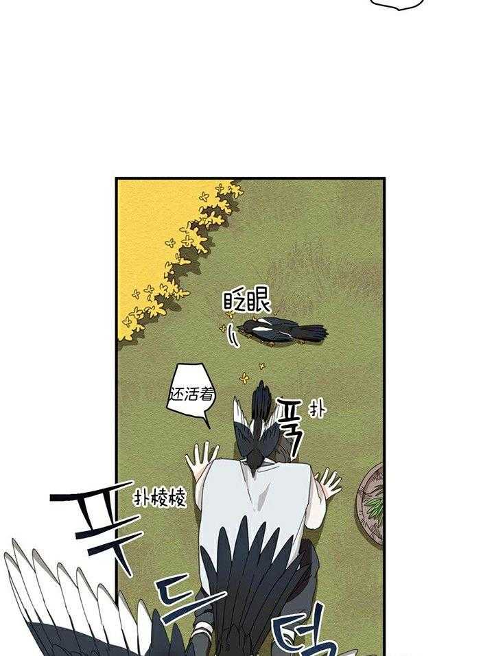 看见那条龙了吗，我的第1话图