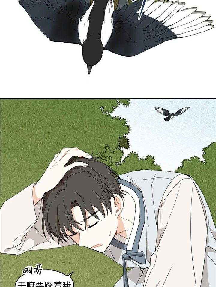 看见那条龙了吗，我的第1话图