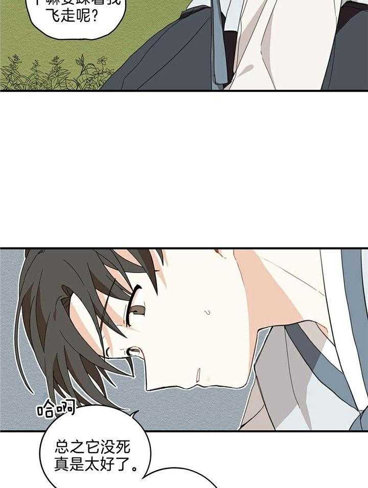 看见那条龙了吗，我的第1话图