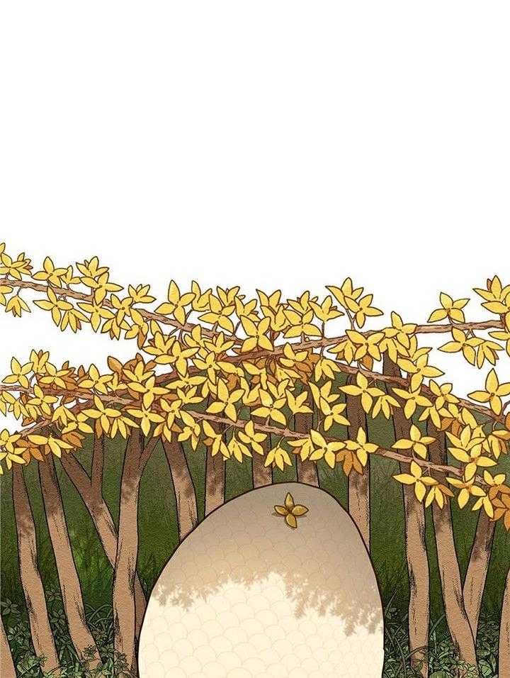 看见那条龙了吗，我的第1话图