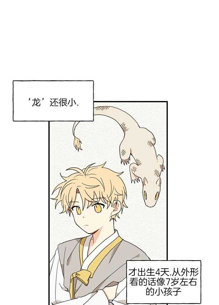 看见那条龙了吗，我的第10话图