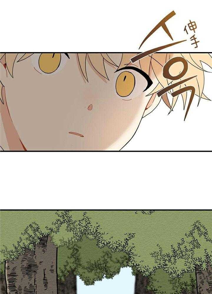 看见那条龙了吗，我的第10话图