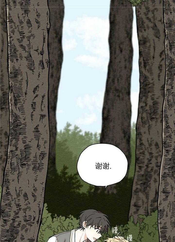 看见那条龙了吗，我的第10话图