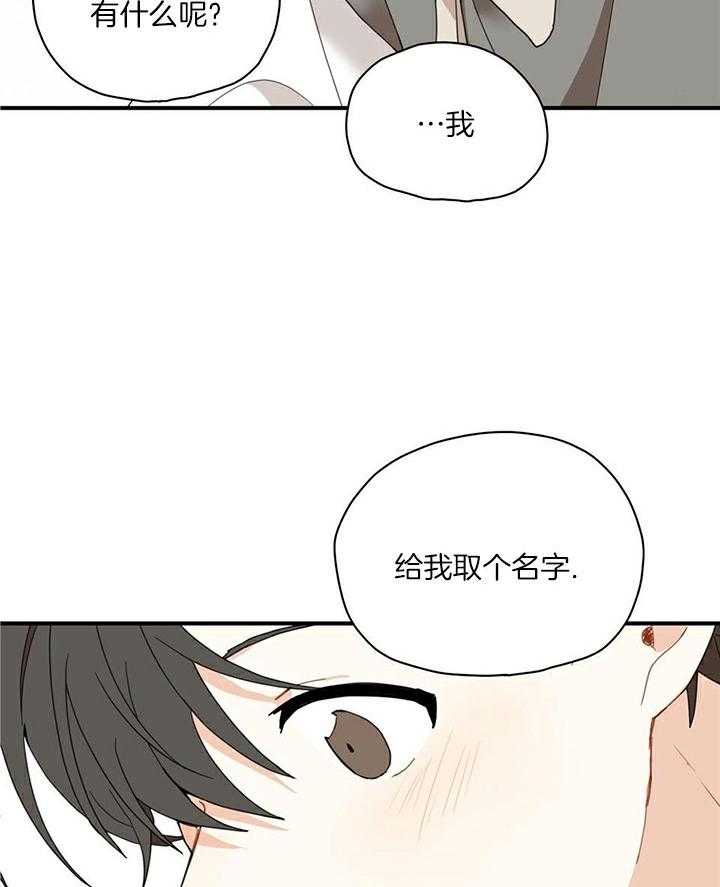 看见那条龙了吗，我的第11话图