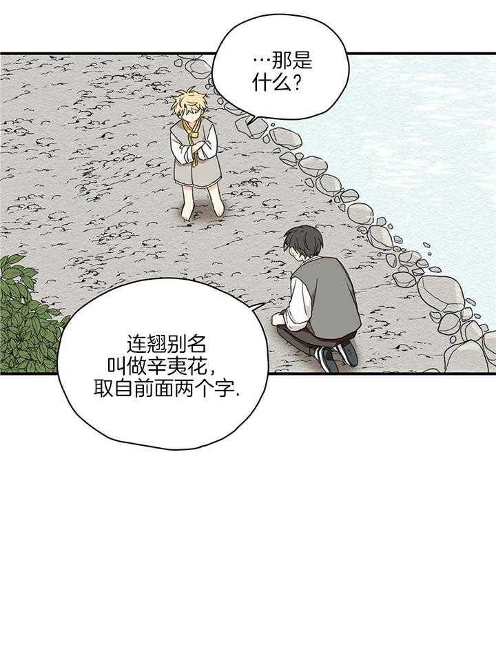 看见那条龙了吗，我的第11话图