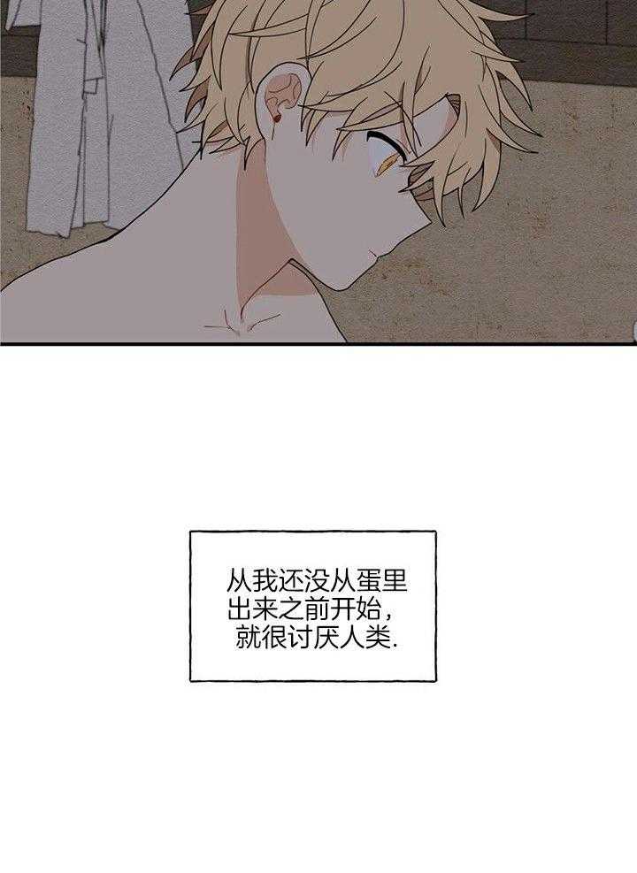 看见那条龙了吗，我的第12话图