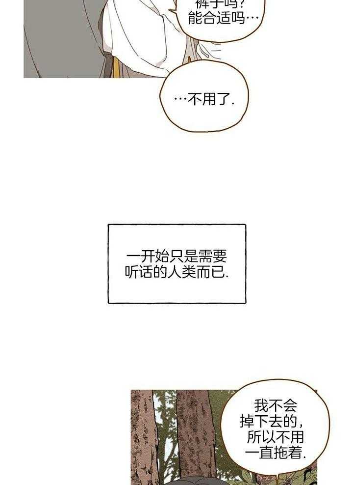 看见那条龙了吗，我的第12话图