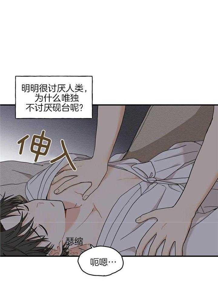 看见那条龙了吗，我的第12话图