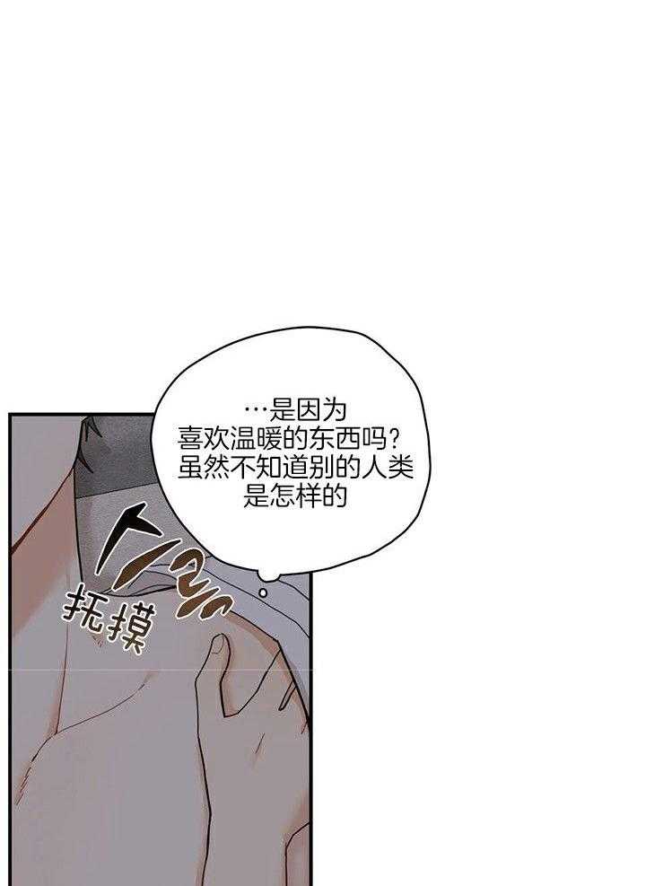 看见那条龙了吗，我的第12话图