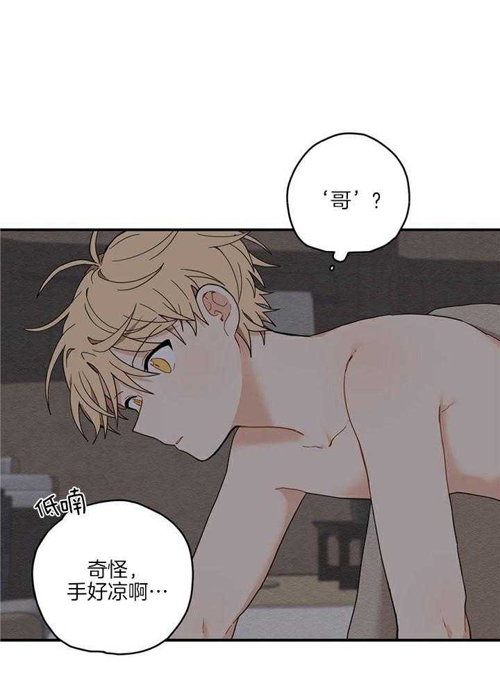 看见那条龙了吗，我的第13话图