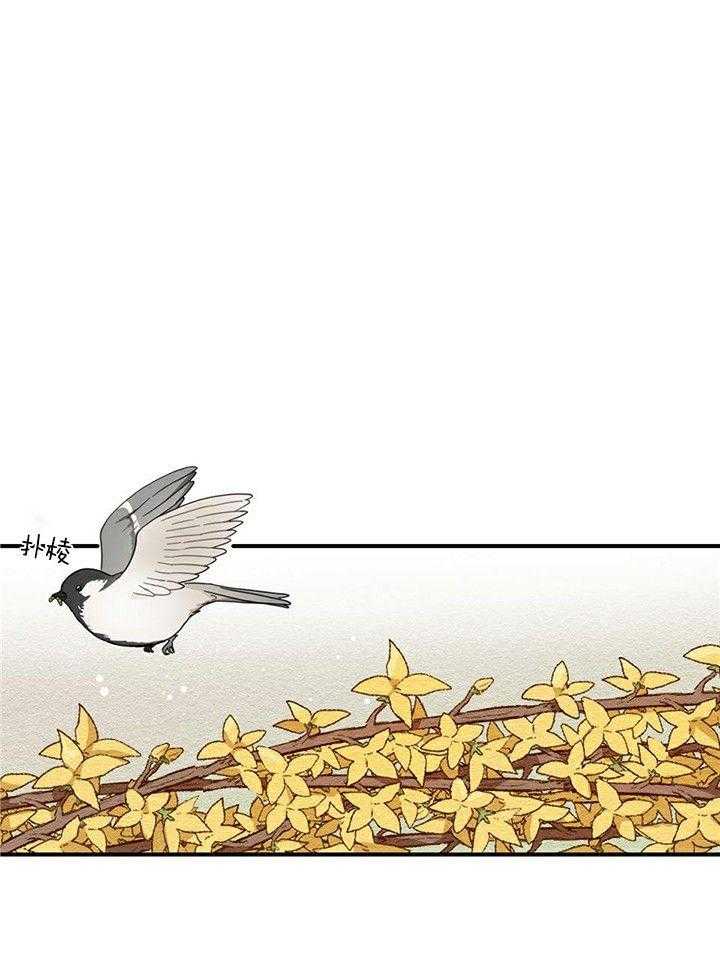 看见那条龙了吗，我的第13话图