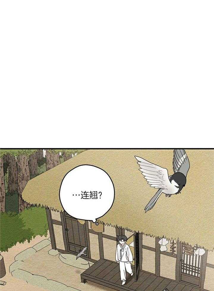 看见那条龙了吗，我的第13话图