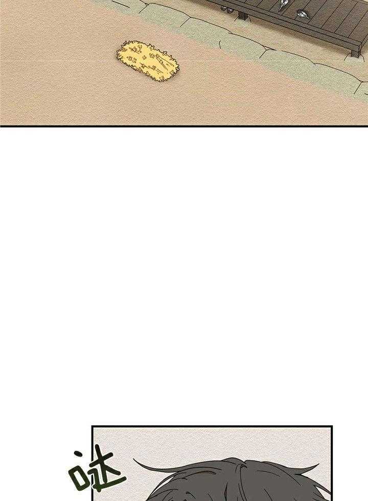 看见那条龙了吗，我的第13话图