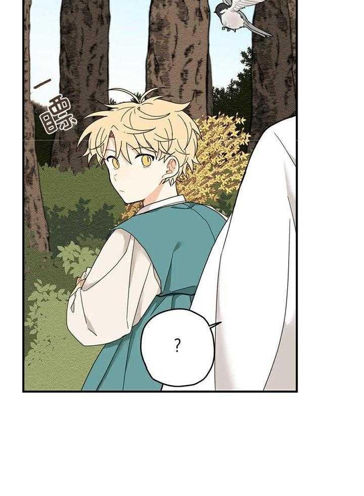 看见那条龙了吗，我的第13话图