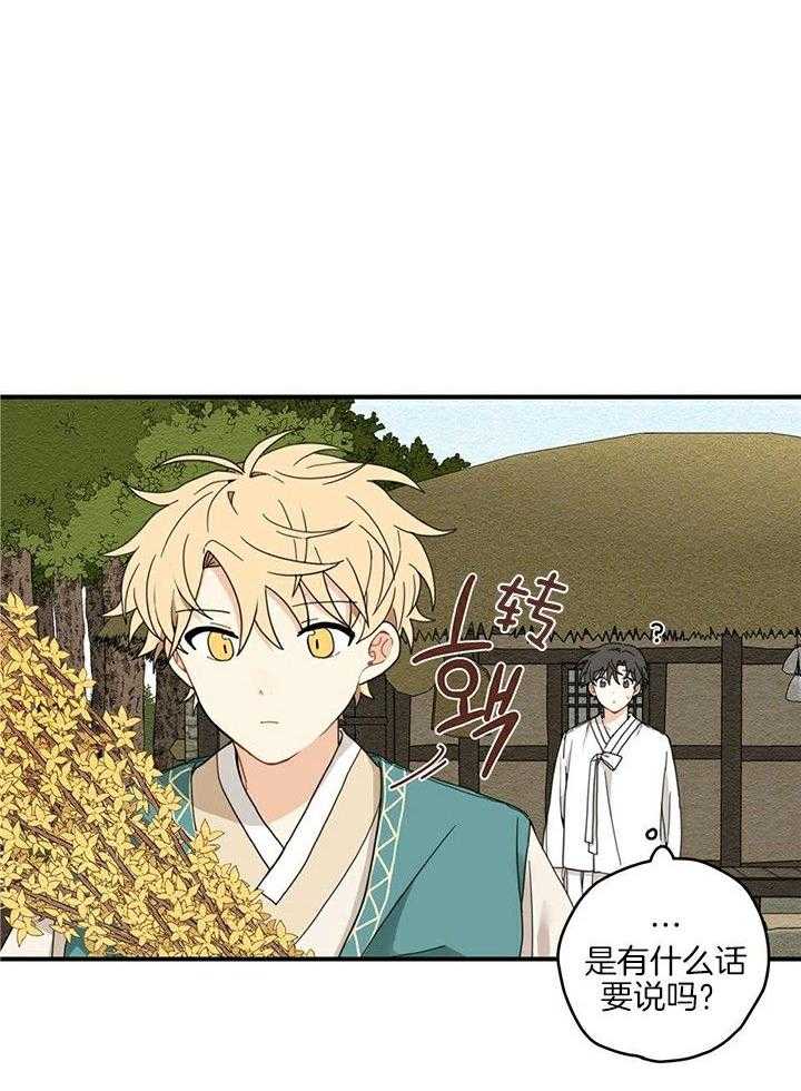 看见那条龙了吗，我的第13话图