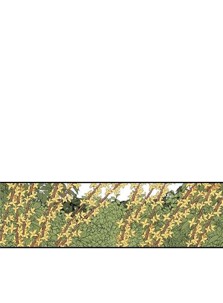 看见那条龙了吗，我的第13话图