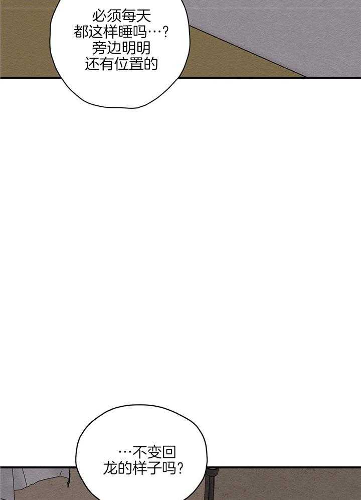 看见那条龙了吗，我的第14话图