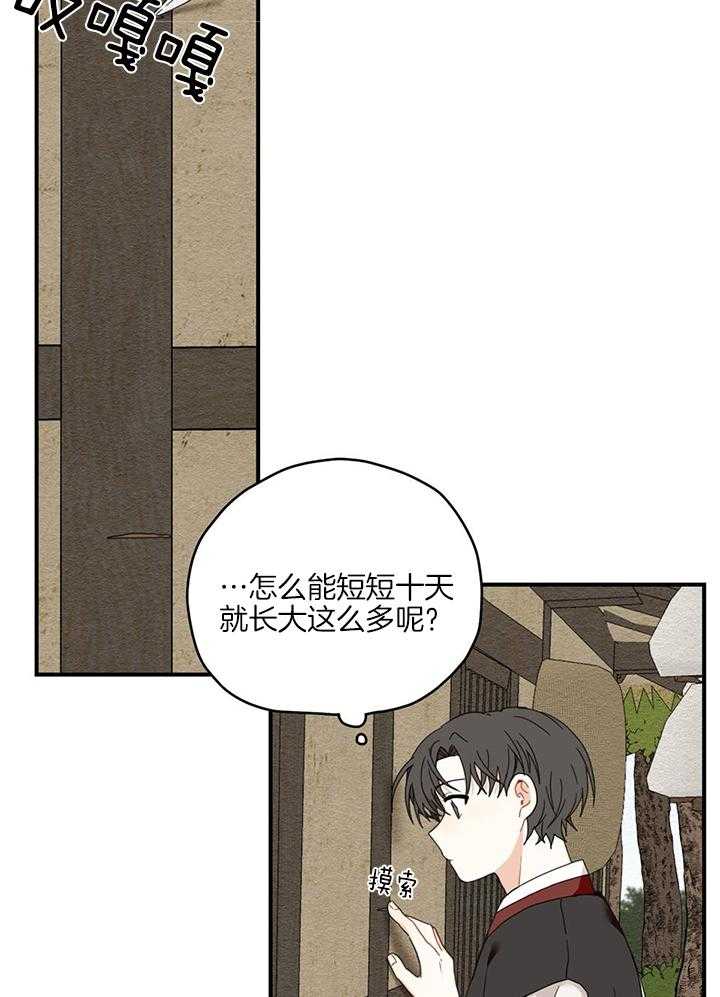 看见那条龙了吗，我的第14话图