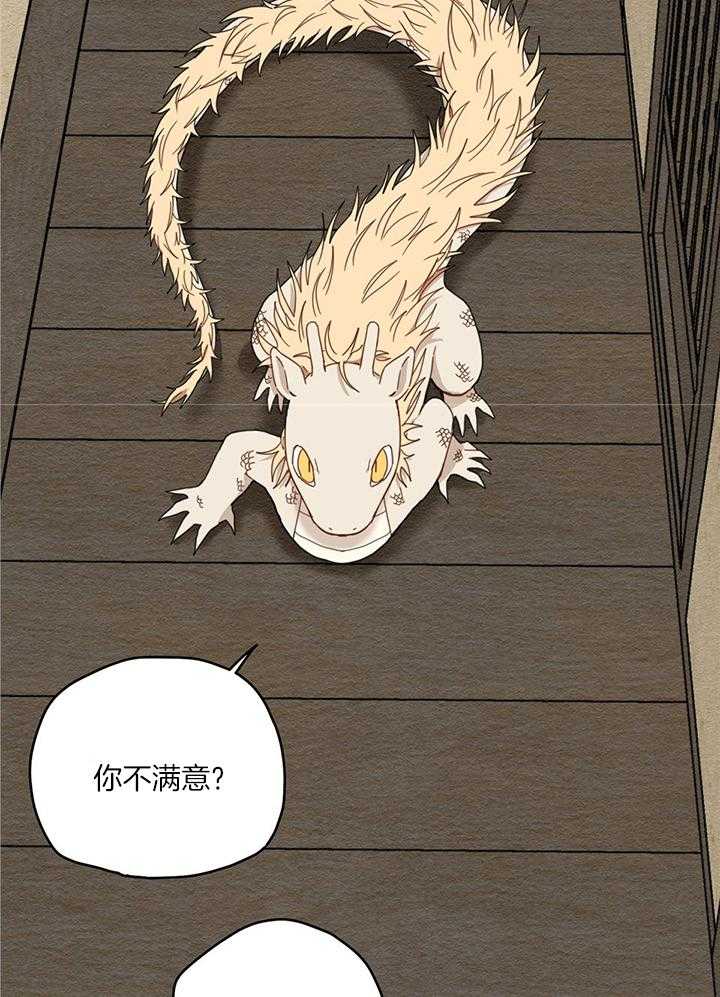 看见那条龙了吗，我的第14话图