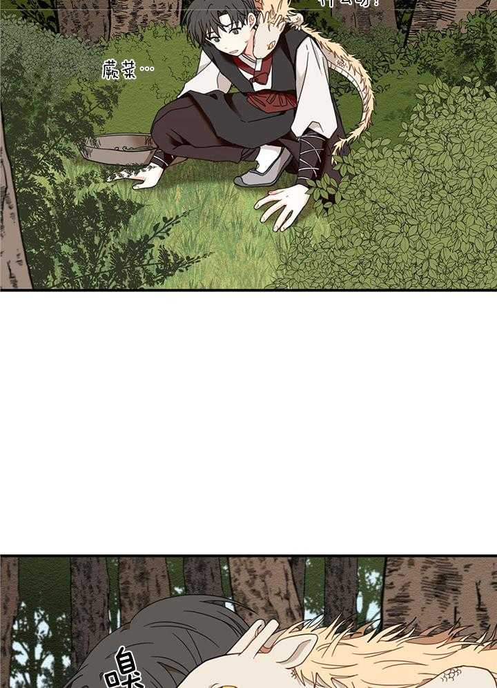 看见那条龙了吗，我的第14话图