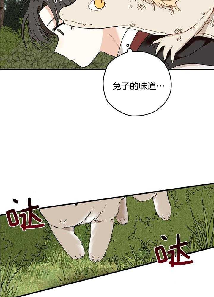 看见那条龙了吗，我的第14话图