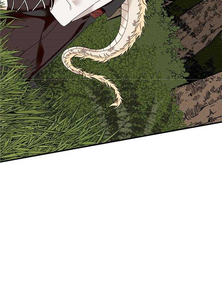 看见那条龙了吗，我的第14话图