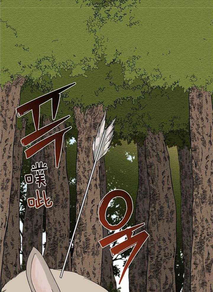 看见那条龙了吗，我的第14话图