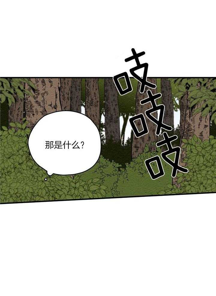 看见那条龙了吗，我的第14话图