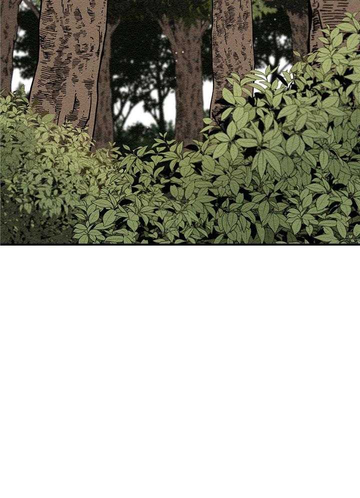 看见那条龙了吗，我的第15话图