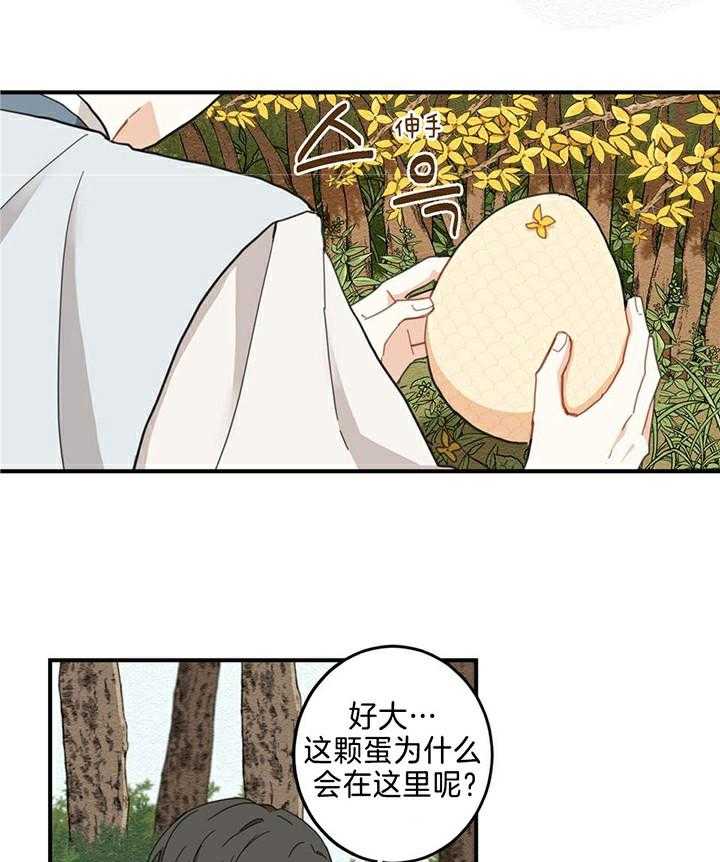 看见那条龙了吗，我的第2话图