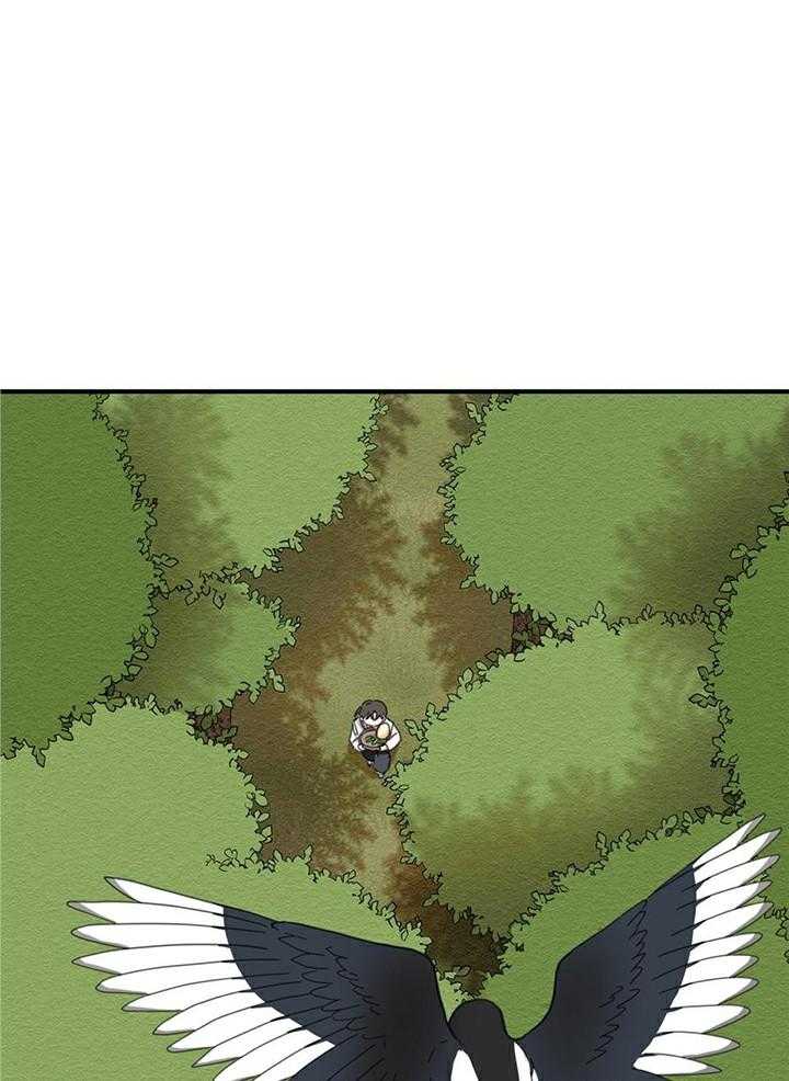 看见那条龙了吗，我的第2话图