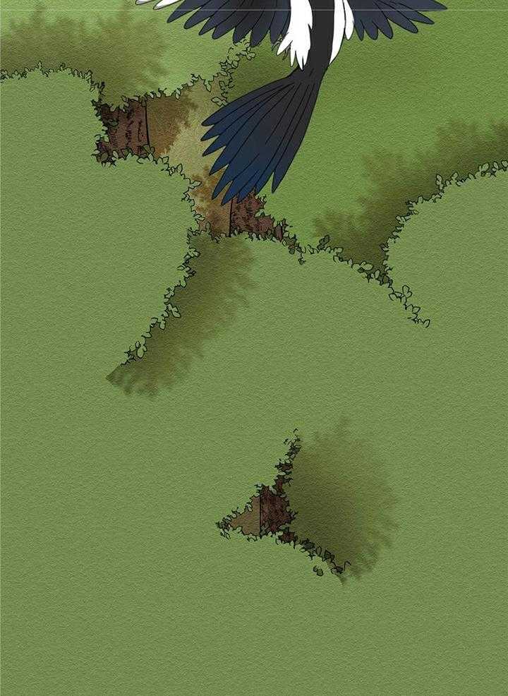 看见那条龙了吗，我的第2话图