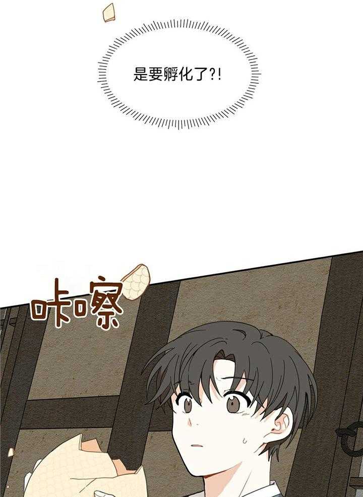 看见那条龙了吗，我的第2话图