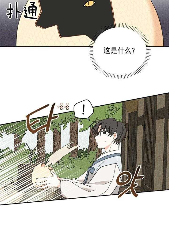 看见那条龙了吗，我的第2话图