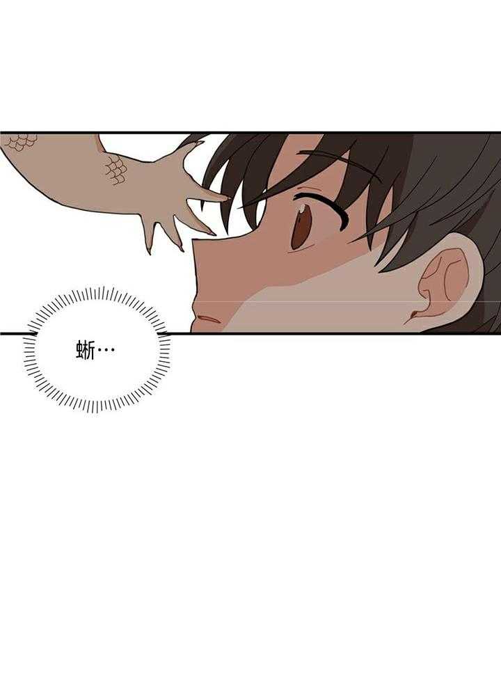 看见那条龙了吗，我的第2话图