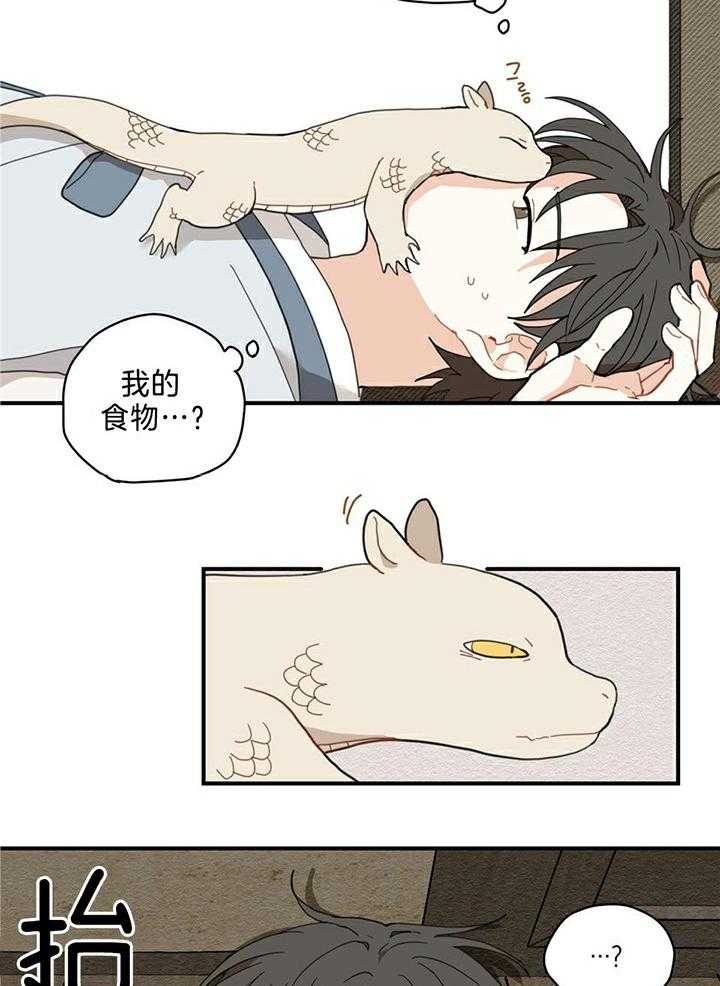 看见那条龙了吗，我的第2话图