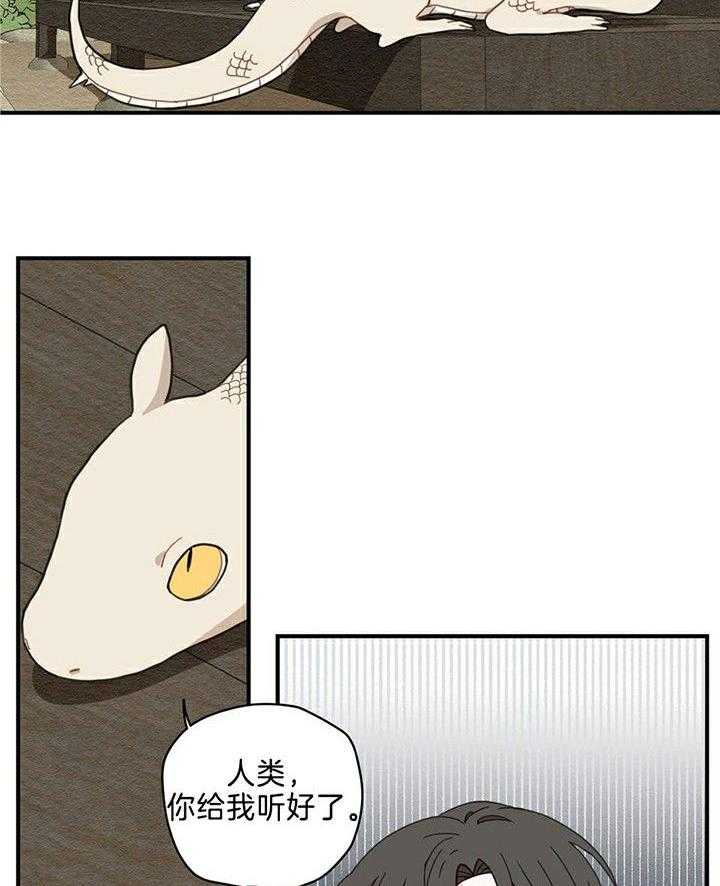 看见那条龙了吗，我的第2话图