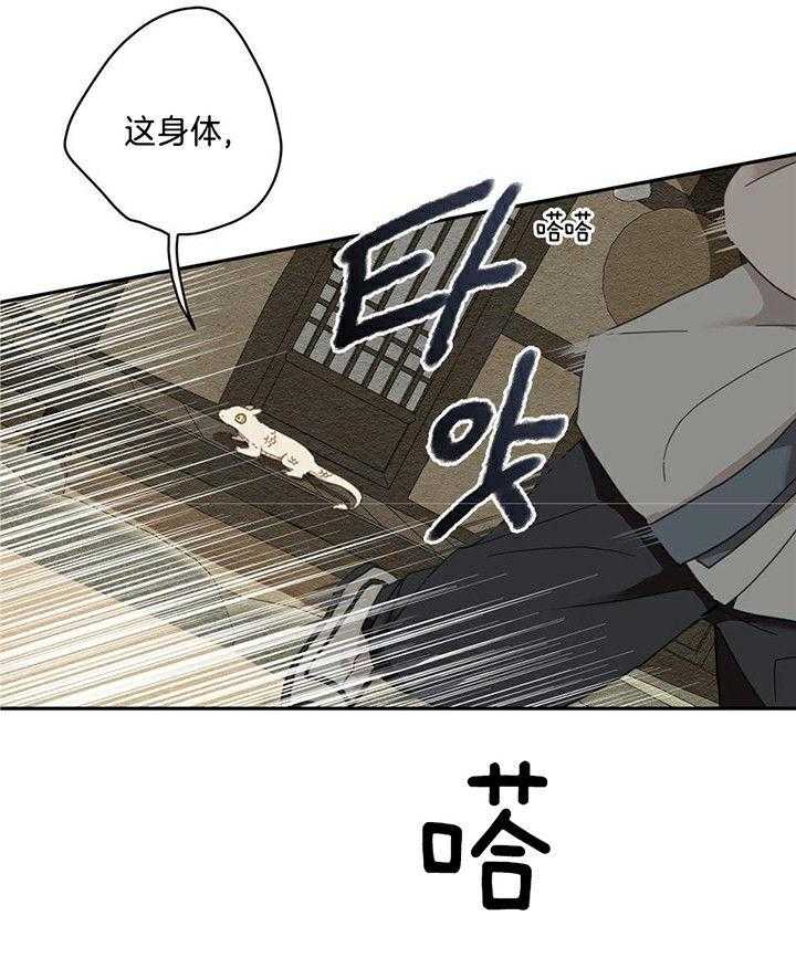 看见那条龙了吗，我的第2话图