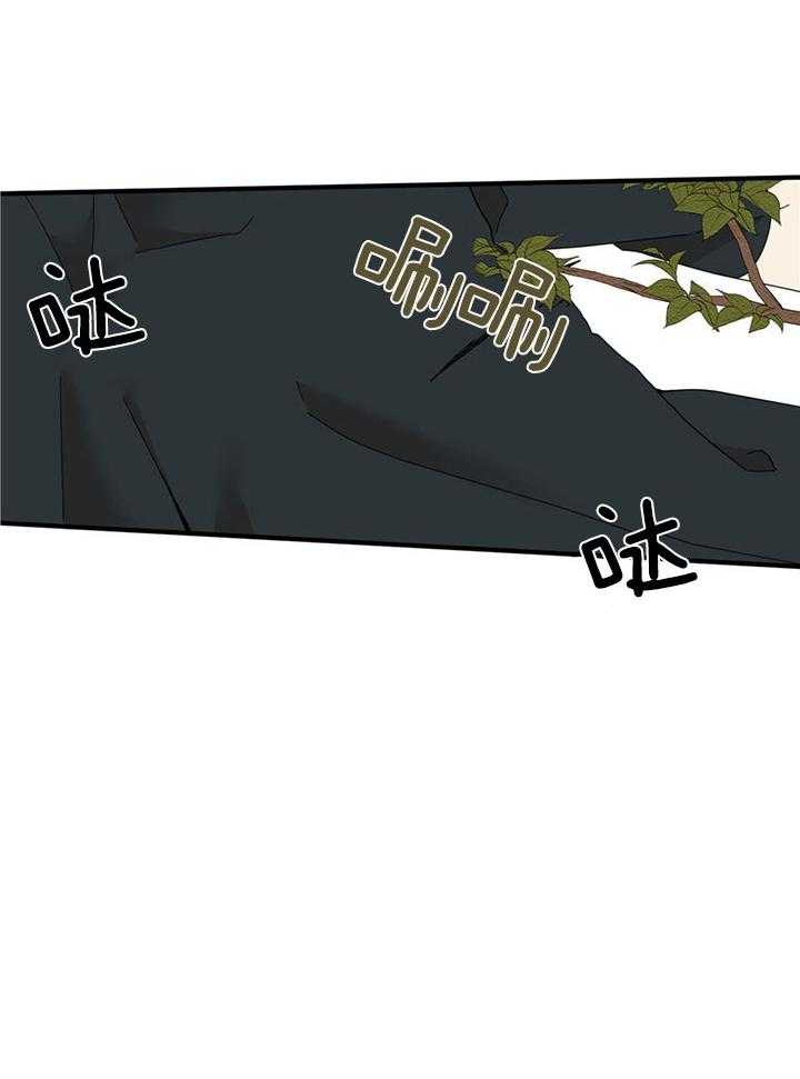 看见那条龙了吗，我的第20话图