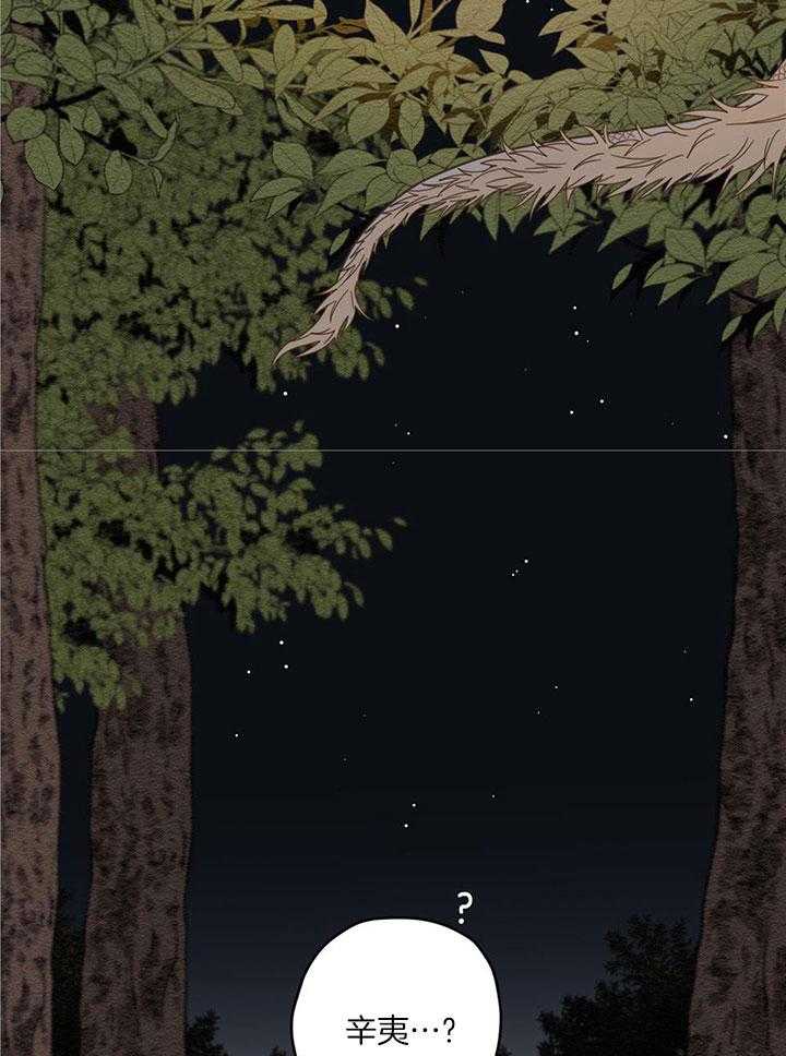 看见那条龙了吗，我的第20话图