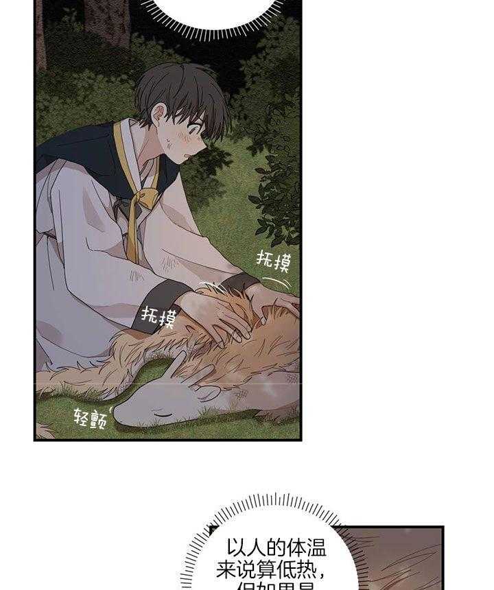 看见那条龙了吗，我的第20话图