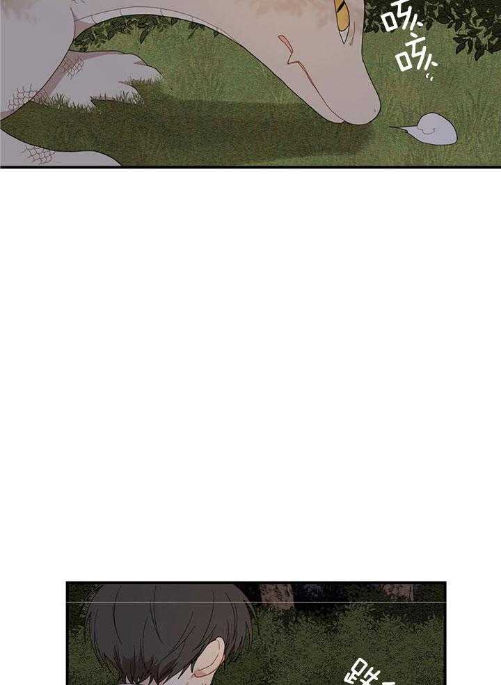 看见那条龙了吗，我的第21话图