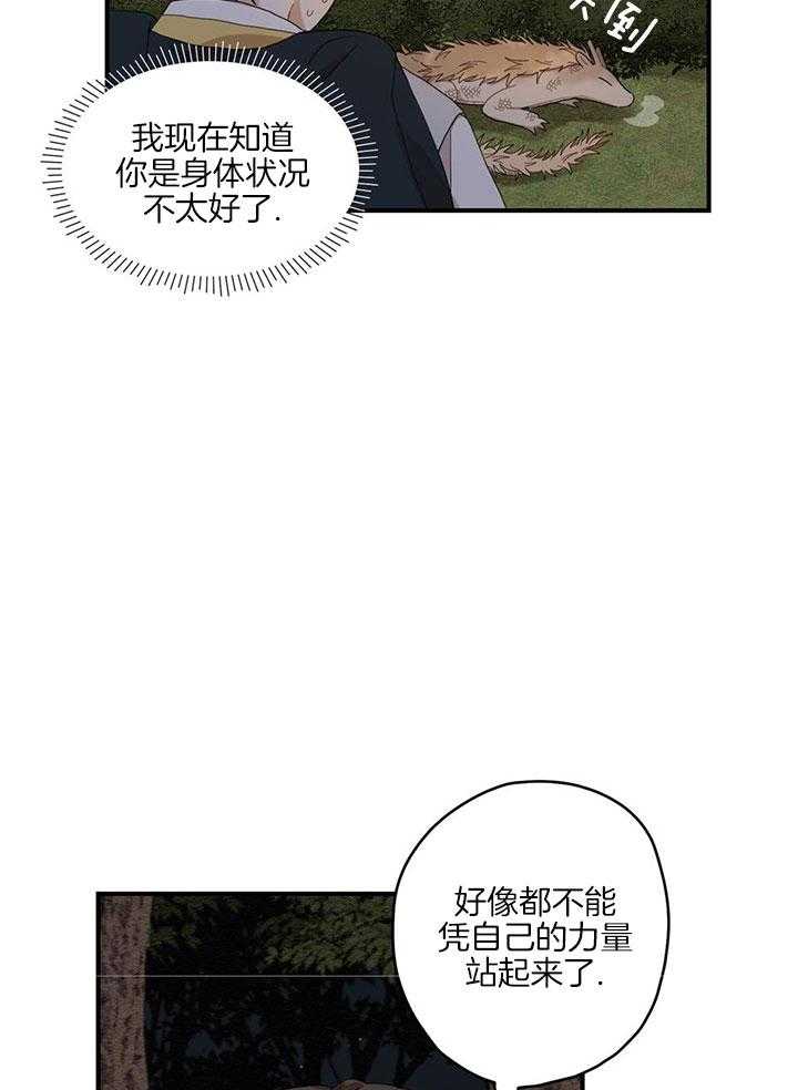 看见那条龙了吗，我的第21话图