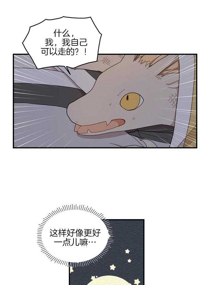 看见那条龙了吗，我的第21话图