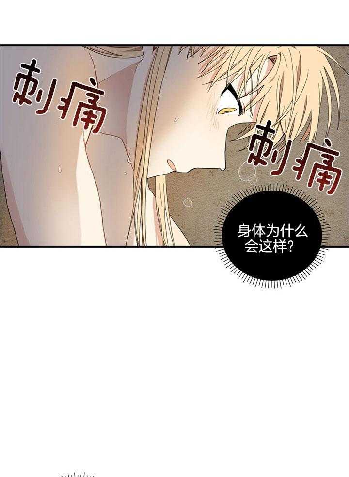 看见那条龙了吗，我的第21话图